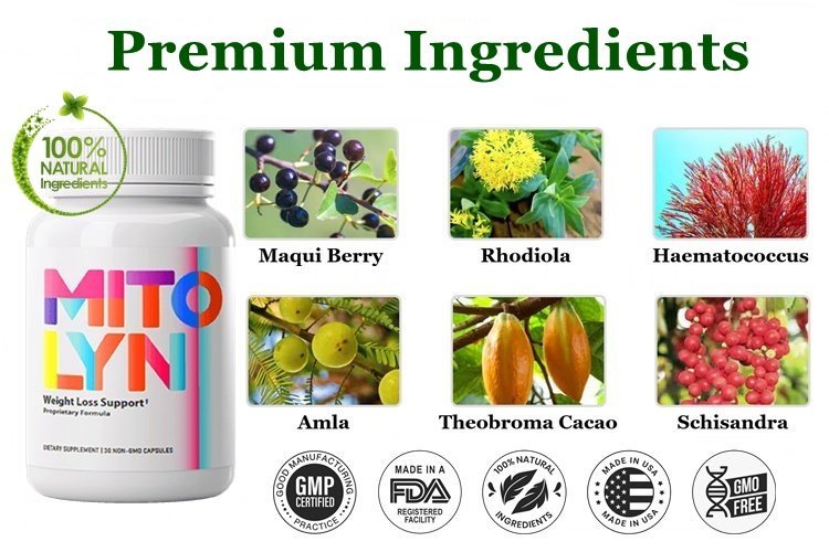 Mitolyn Ingredients