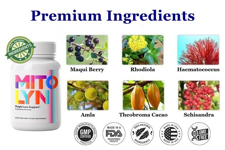 Mitolyn Ingredients